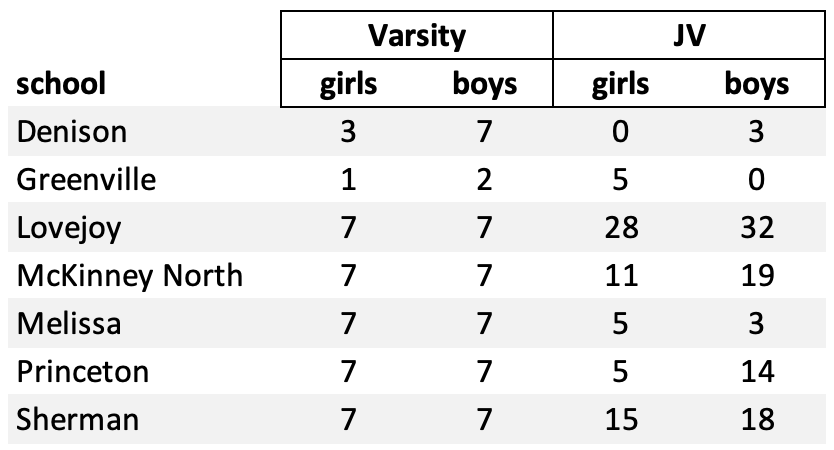 runners for each District team by race